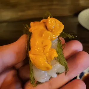 제법 사진