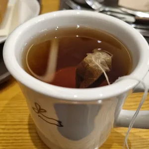 한스 사진