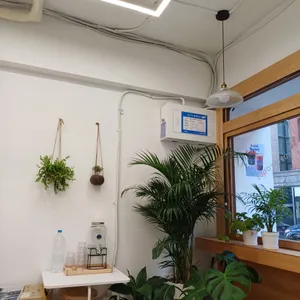 슈퍼플 아사이볼 리뷰 사진