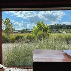 디스케이프 리뷰 사진