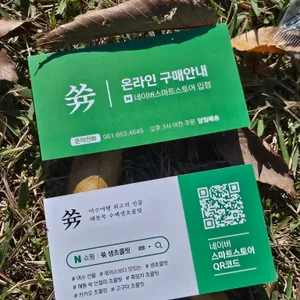 쓖 사진