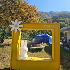 파스쿠찌 리뷰 사진
