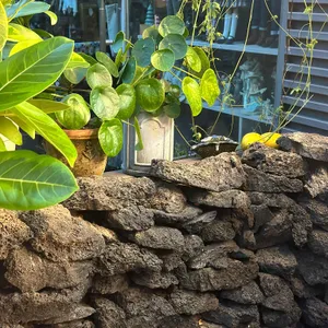 제주돌담꽈배기 리뷰 사진