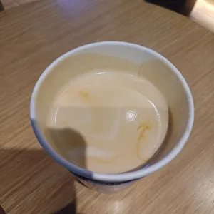 푸르파파 사진