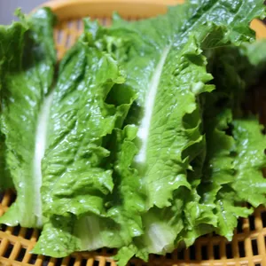 부성식당 리뷰 사진