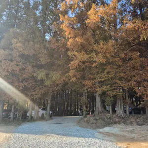 메타포레스트 리뷰 사진