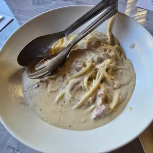 바소 사진