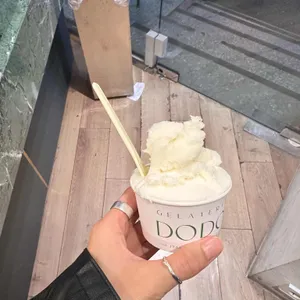 젤라떼리아 도도 사진