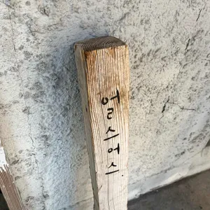 얼스어스 사진