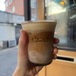 카멜 사진