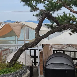 케이131 리뷰 사진