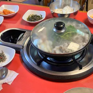 개미집 사진