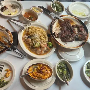 놉스 리뷰 사진