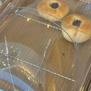 가비가배 사진