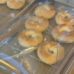 가비가배 사진