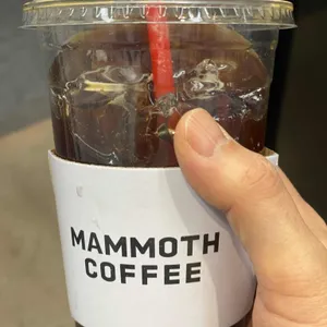 매머드익스프레스 사진