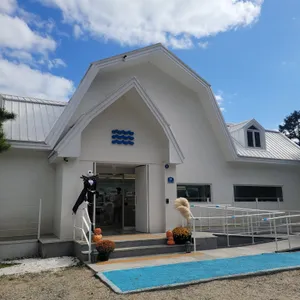 더강 리뷰 사진