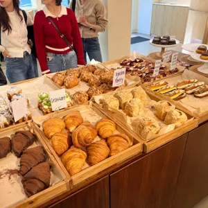 할로우 사진