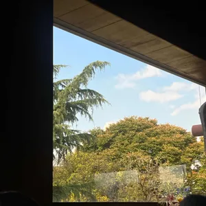 조르바 리뷰 사진