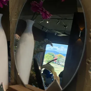 조르바 리뷰 사진