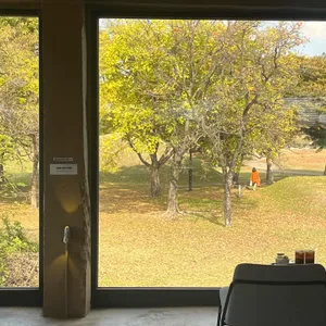 조르바 리뷰 사진