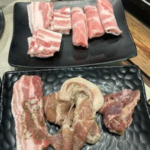 돼지대학교 사진