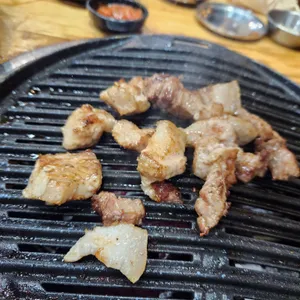 진돼지 사진