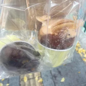 크로도 사진
