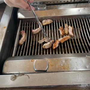 포뜰오리 사진