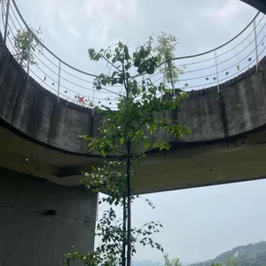 희작 리뷰 사진