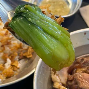 안타이 사진