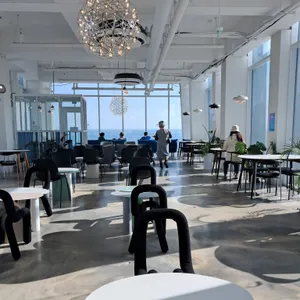 웨일라잇 리뷰 사진