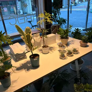 리시트 리뷰 사진