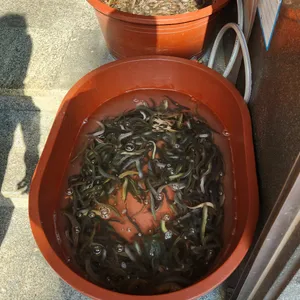 남원추어탕 사진