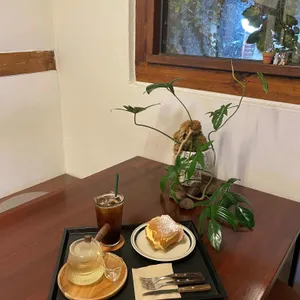 오프닝포트 사진