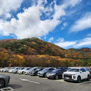 새재할매집 리뷰 사진