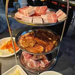 신마포갈매기 사진
