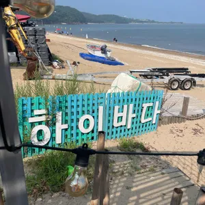 하이바다 리뷰 사진