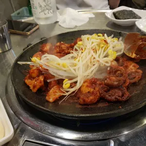 독도쭈꾸미 사진