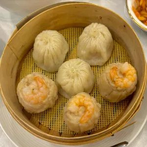 하이보 사진