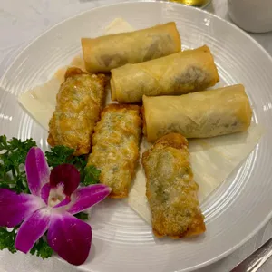 하이보 사진