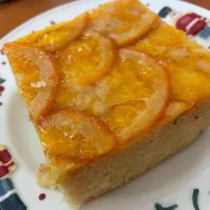 스코프 사진
