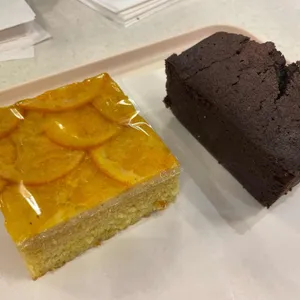 스코프 사진