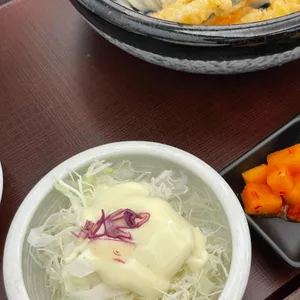 코시 사진