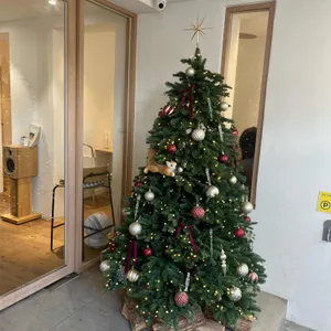 누크녹 리뷰 사진