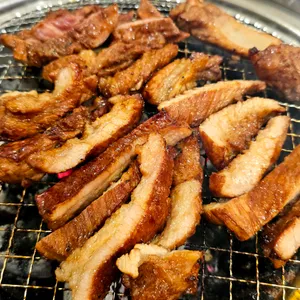 봄결 사진