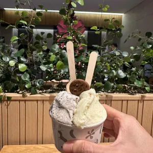 세띠엠므 사진