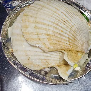 수민이네 사진