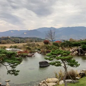 반야원 플라타너스 리뷰 사진