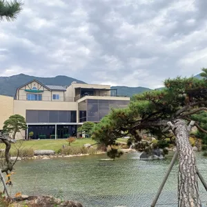 반야원 플라타너스 리뷰 사진